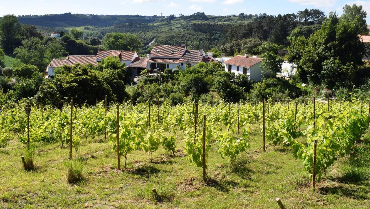 Vale Da Palha Holiday home
